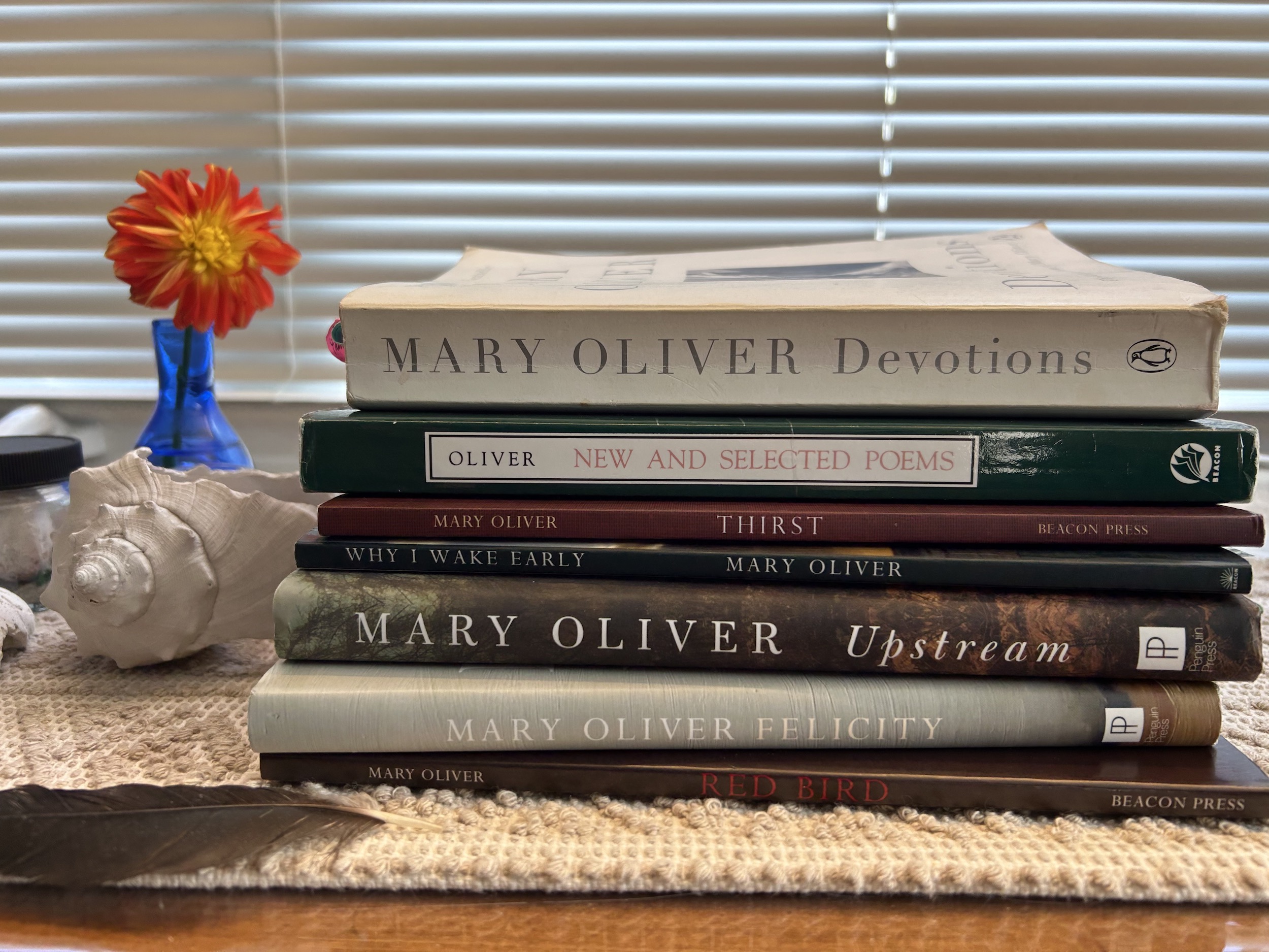 stack of books by Mary Oliver sitting on buffett